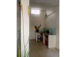 Vista 15