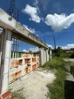 Vista 5
