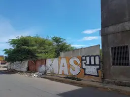 Vista 10