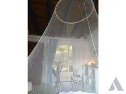 Vista 10