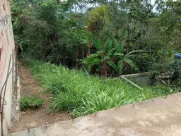 Vista 4
