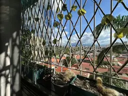 View 21
