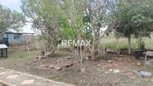 En venta Terreno con Bienhechuría - Sector Las Veritas Zona Norte - 6