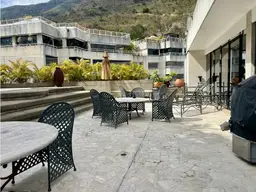 Vista 19