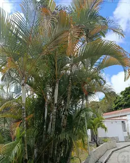 View 8