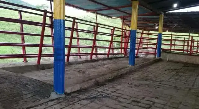 Venta finca pabellón via pregonero - 12