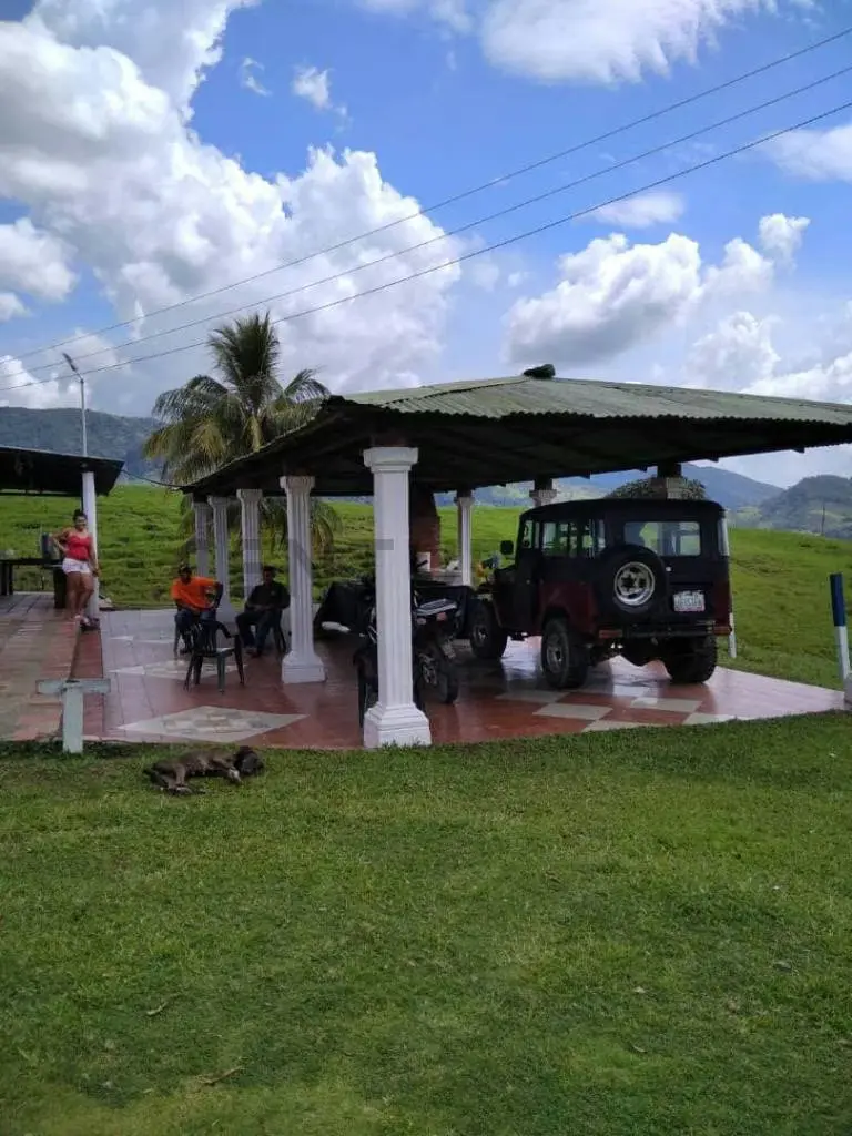 Venta finca pabellón via pregonero - 2