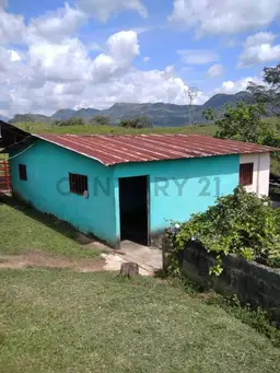 Vista 4