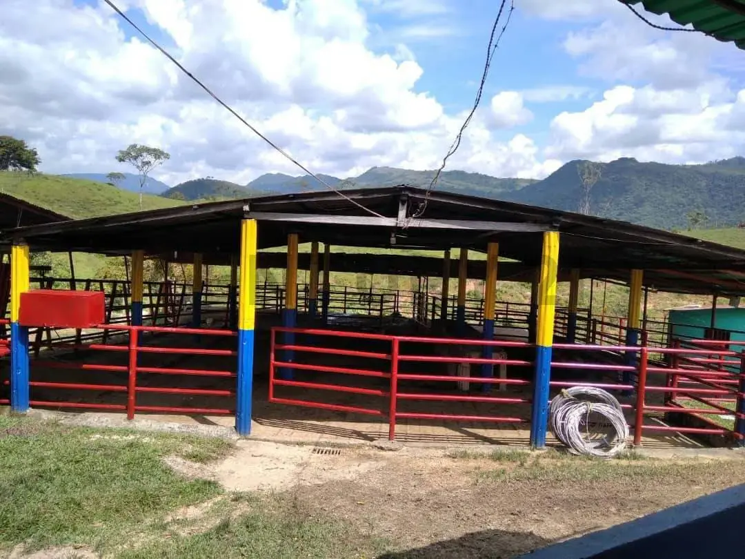 Venta finca pabellón via pregonero - 7