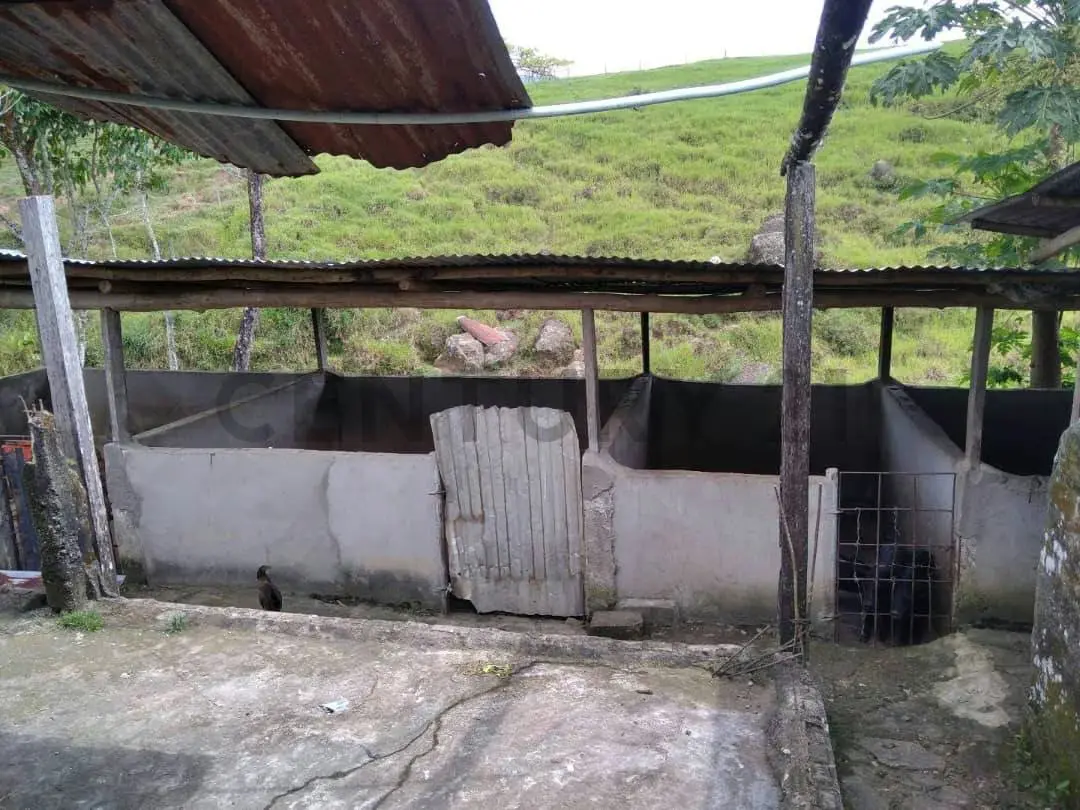 Venta finca pabellón via pregonero - 9