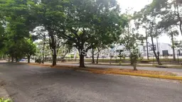 Vista 36