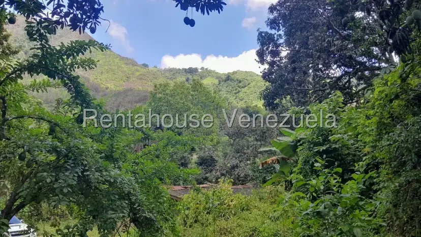 Terreno (Finca) en Venta en Villa Capseoj, Miranda