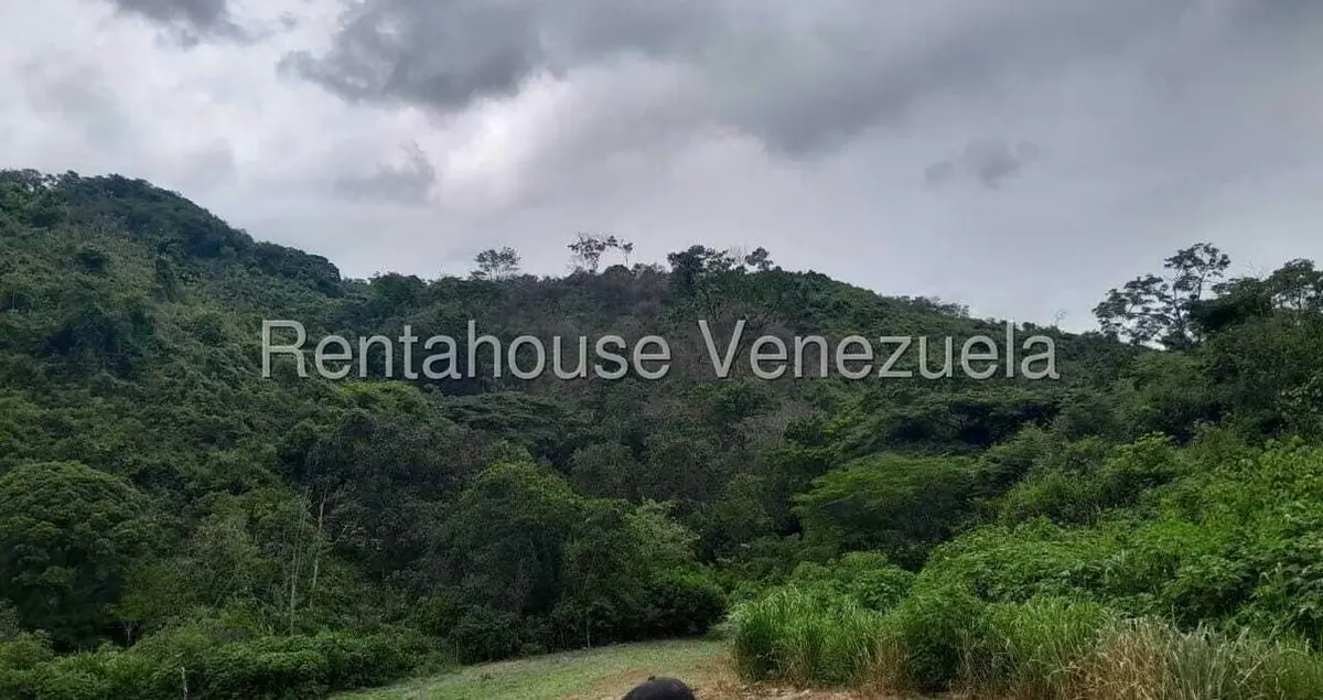 Terreno (Finca) en Venta en Villa Capseoj, Miranda - 2