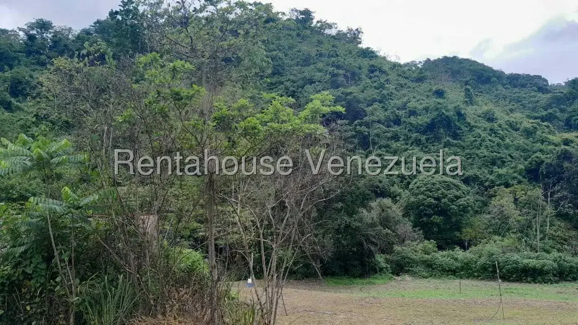 Terreno (Finca) en Venta en Villa Capseoj, Miranda - 4
