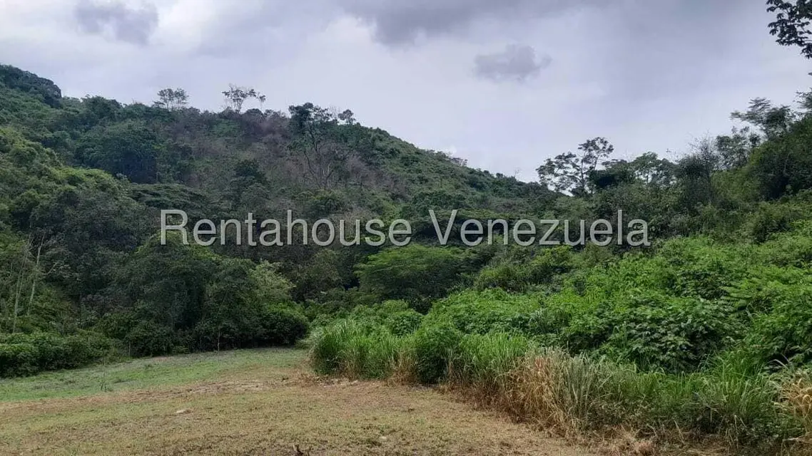 Terreno (Finca) en Venta en Villa Capseoj, Miranda - 5
