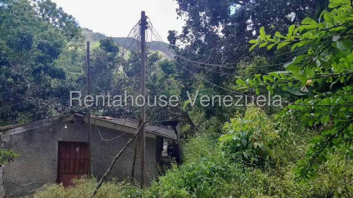Terreno (Finca) en Venta en Villa Capseoj, Miranda - 7