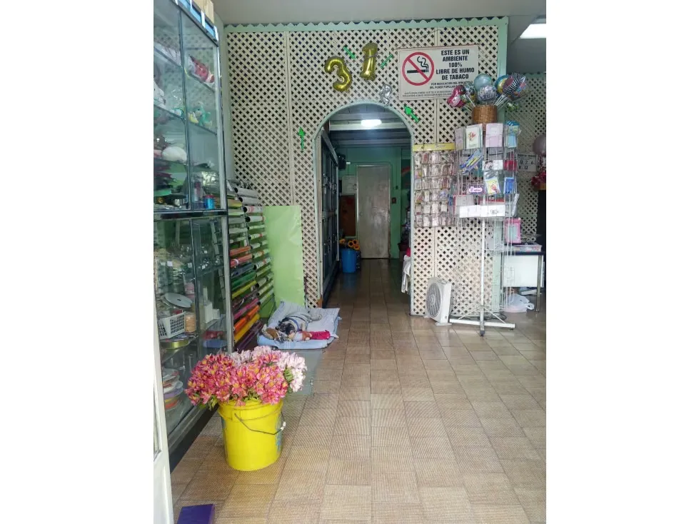 FONDO DE COMERCIO FLORISTERIA LOS PALOS GRANDES 60 M2 + 20 MEZZ - 4