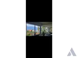Vista 24