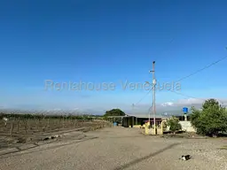 View 12