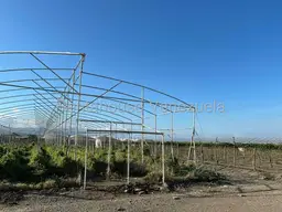 View 10