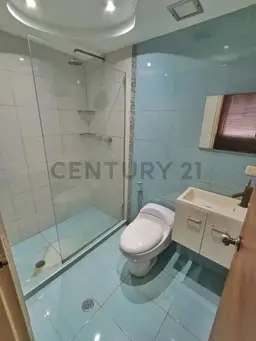Vista 12