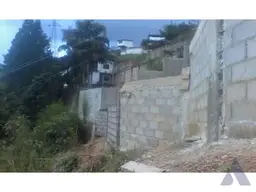 Vista 18