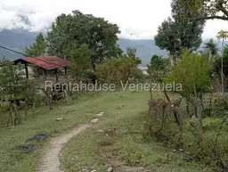 View 1