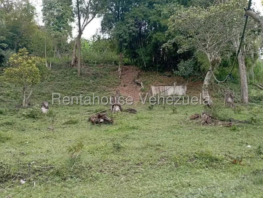 Terreno (Finca) en Venta en El Rincon, Merida - 101