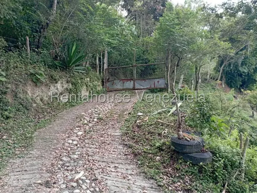 Terreno (Finca) en Venta en El Rincon, Merida - 102