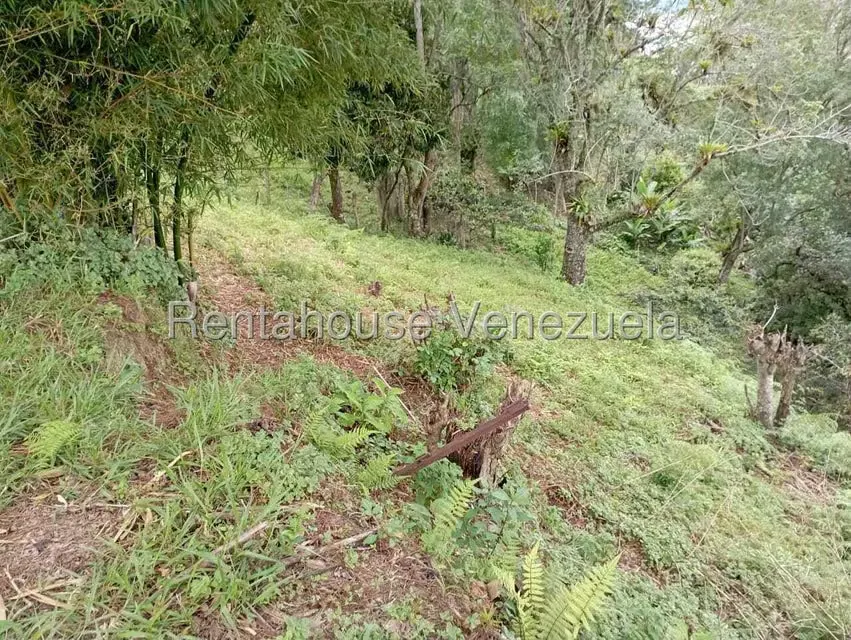 Terreno (Finca) en Venta en El Rincon, Merida - 103