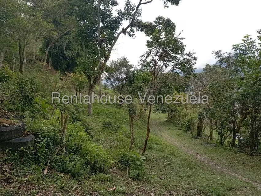 Terreno (Finca) en Venta en El Rincon, Merida - 104
