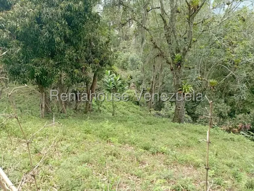 Terreno (Finca) en Venta en El Rincon, Merida - 105