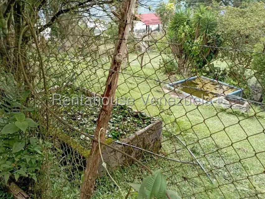 Terreno (Finca) en Venta en El Rincon, Merida - 106