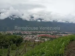 View 11