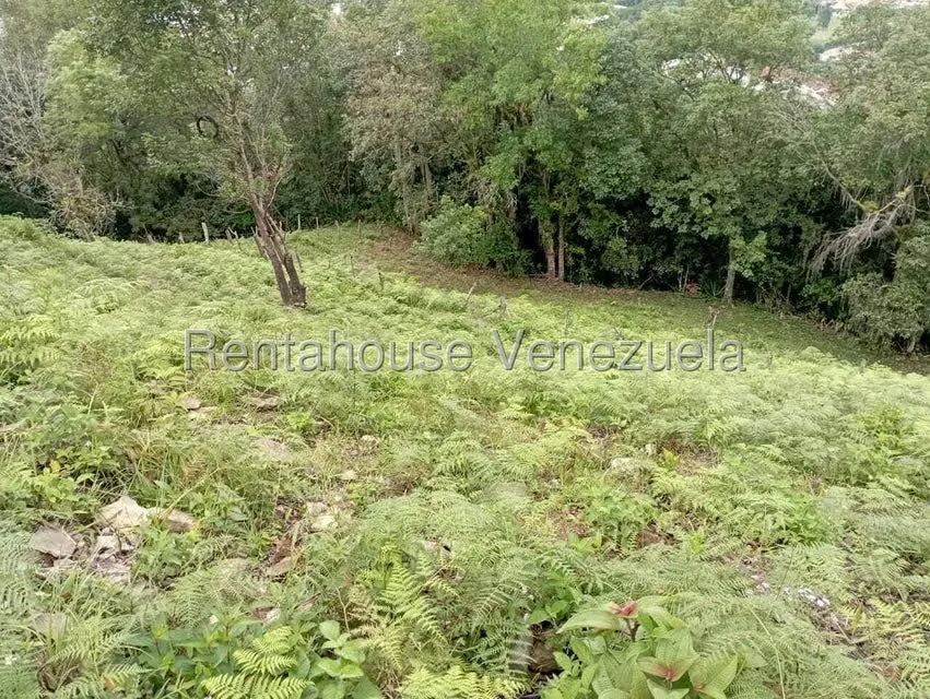 Terreno (Finca) en Venta en El Rincon, Merida - 12