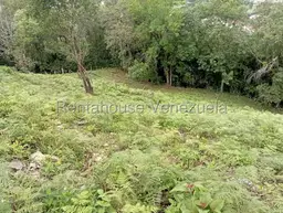 View 12