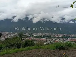 View 13
