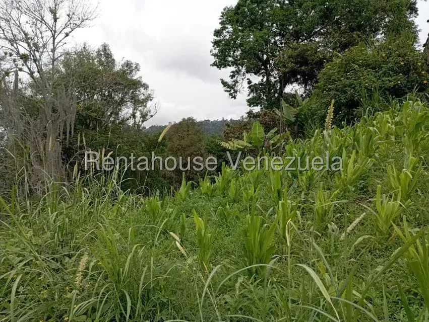 Terreno (Finca) en Venta en El Rincon, Merida - 14
