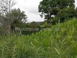View 14