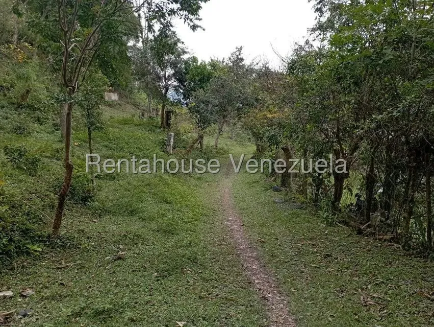 Terreno (Finca) en Venta en El Rincon, Merida - 15