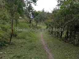 View 15