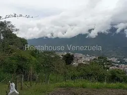 View 16