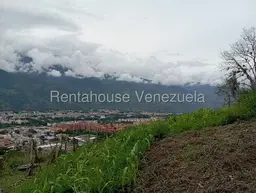 View 17