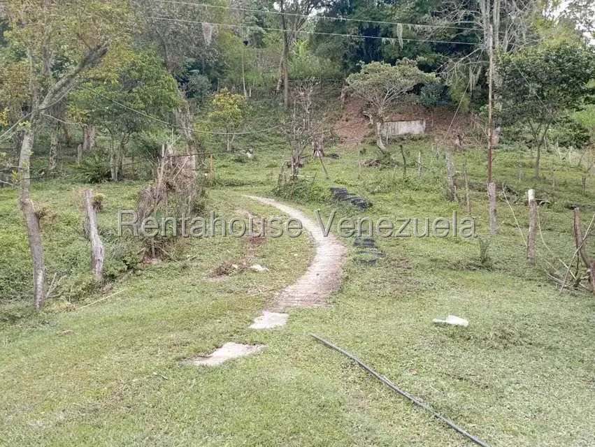 Terreno (Finca) en Venta en El Rincon, Merida - 18