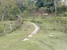 View 18