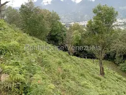 View 19