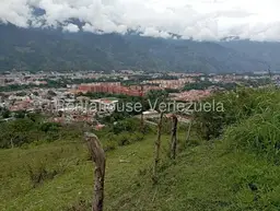 View 21