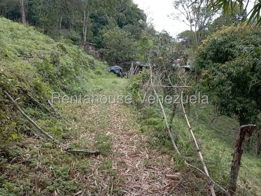 Terreno (Finca) en Venta en El Rincon, Merida - 23
