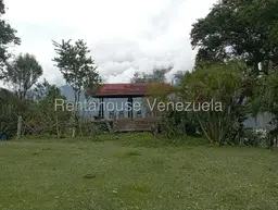 View 24