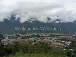 View 26